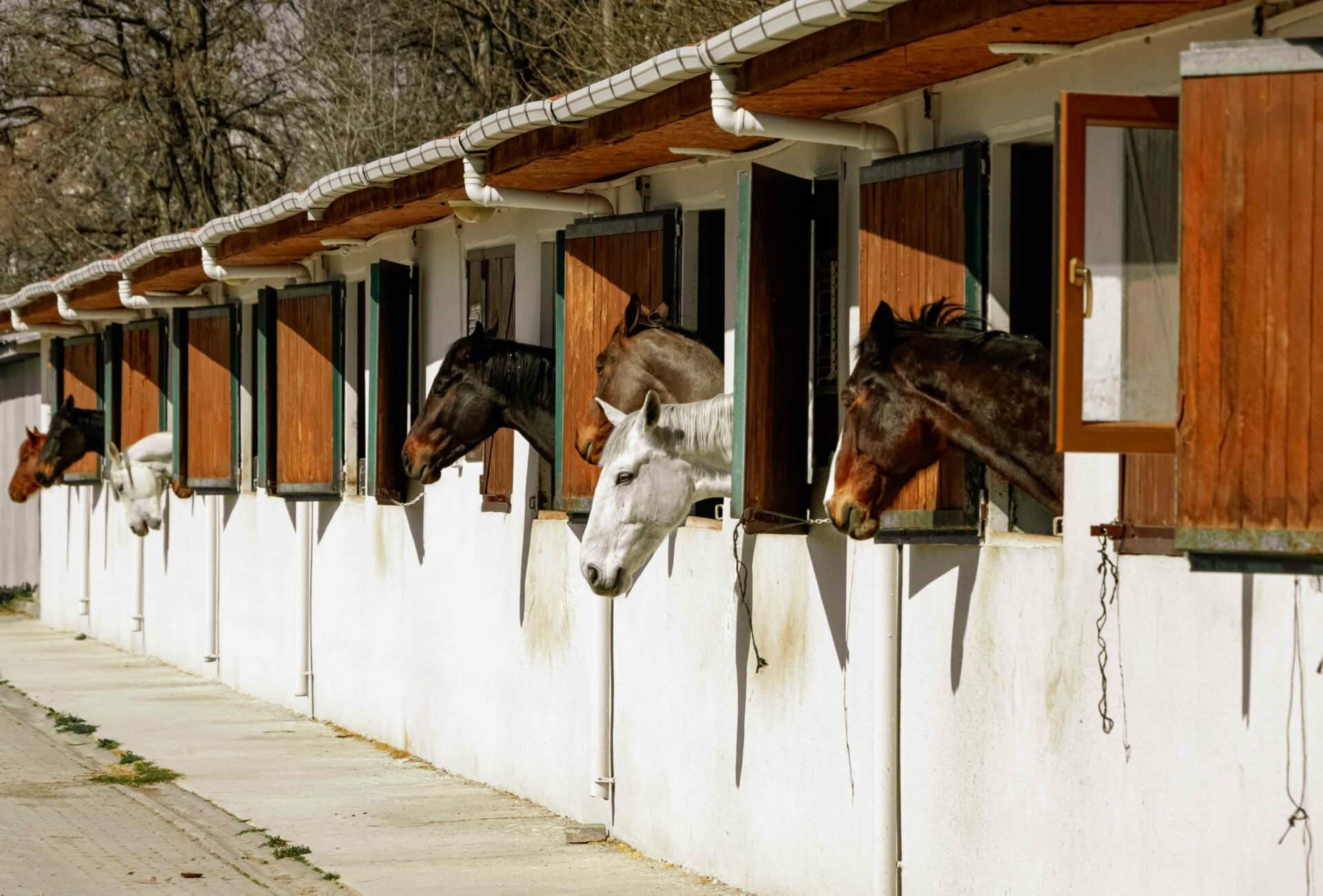 Reproductive Services